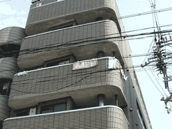 �ς�����o���R�j�[�����͂̂������A�x�j���[�ݗ�