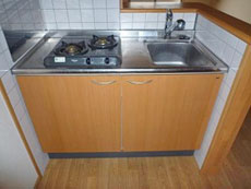 ��l��炵�ɂ͂��������Ȃ��قǂ̏[�������ݔ��t�F�j�b�N�X�ԏ�