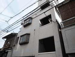 �ƒ����v����オ2���~��̂͊e�����T���L���E�n�C�c