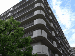 ���Ђ��S�͂Ń��t�H�[�����������݂��}���V�����ł��I�I