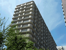 ���t�H�[���ς݂̕����݃}���V�����I�R�X���n�C�c�ʏo