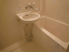 �o�X�E�g�C���ʂ̐l�C�^�C�v�̂������B