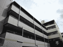 ���s����w�̊w������ɘN��I���߂̃L���C�ȃ}���V�����ł��恙