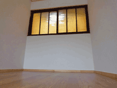 �l�ʂ�̑����D���n�X�܁I�������ɍœK�ł��I