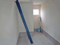 �l�ʂ�̑����D���n�X�܁I�������ɍœK�ł��I