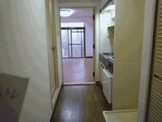 �E�H�V�����b�g�t����1K�}���V�����ł��I