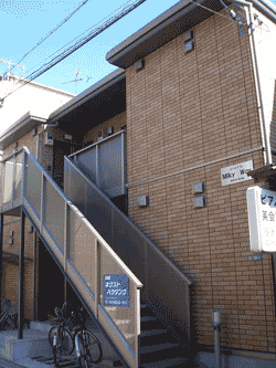 2011�N1��5���F�Z�L�X�C�n�C���{�H�̒P�g�������݁I�~���L�[�E�F�C