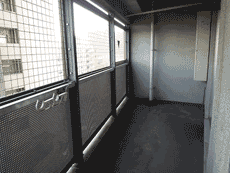 �w�^��I�n���S�o������k��3�b�̃}���V�����I