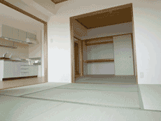 ���~�G�[���ԉ�