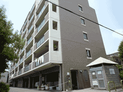 �Ղ����[�t�o���R�j�[�t����1K�}���V�����I�A�x�j���[�V�_�m�X