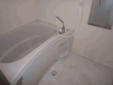 �v�����h�[���|�N��