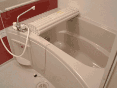 �}�T�R�[�g�n�i