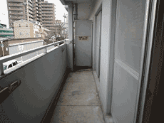 �p�[�N�T�C�h���