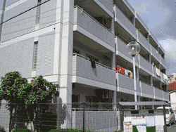 �p�[�N�T�C�h���