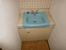 �y�b�g�̔���݉�