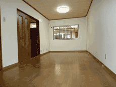 �y�b�g�̔���݉�