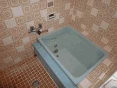 �y�b�g�̔���݉�