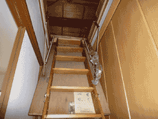 �y�b�g�̔���݉�