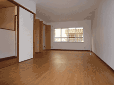 �y�b�g�̔���݉�