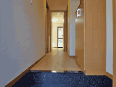 �O�����f�B�[������