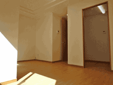 �O�����f�B�[������