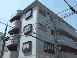 �j���[�I�_�}���V����