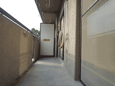 �p�e�B�I�k���ꉮ