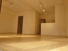 �p�e�B�I�k���ꉮ