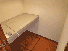 �X�e�[�WSODA