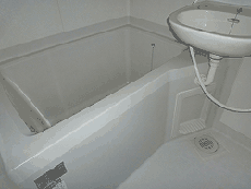 �J�[�T���