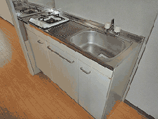 �J�[�T���