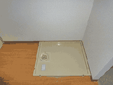 �J�[�T���