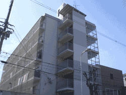 �G�N�Z���R�[�g�Z�V�]����