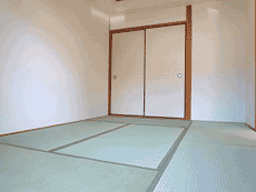 ���l���R�[�| 