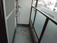 �O�����V���g�[�k���ꉮ