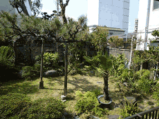 �O�����V���g�[�k���ꉮ