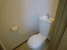 �O�����V���g�[�k���ꉮ