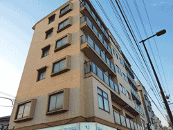 �G�N�Z���R�[�g�Z�V�]����