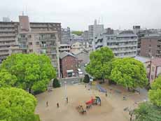 �G�N�Z���R�[�g�Z�V�]����