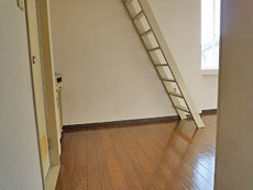 �G�N�Z���R�[�g�Z�V�]����