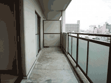 ���~�G�[���ԉ�