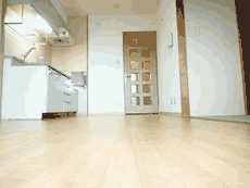 ���~�G�[���ԉ�