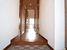 ���~�G�[���ԉ�