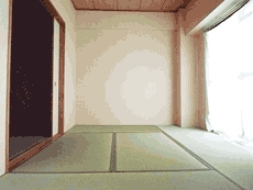 ���~�G�[���ԉ�