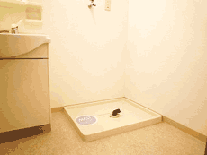 ���~�G�[���ԉ�