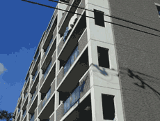 ���~�G�[���ԉ�