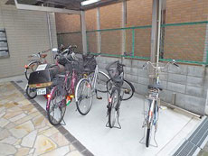 �~���A����Ȃ������I?�J�[�T�����ꉮ