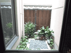 �p�[�N�T�C�hK