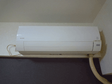 �R���t�H�[�g���ꉮ