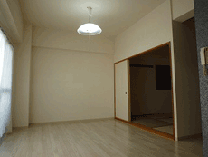 ���C���{�[21